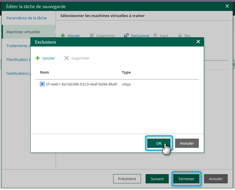 Dans box de sauvegarde l'image montre comment valider l'exclusion d'une VM Capture d'écran