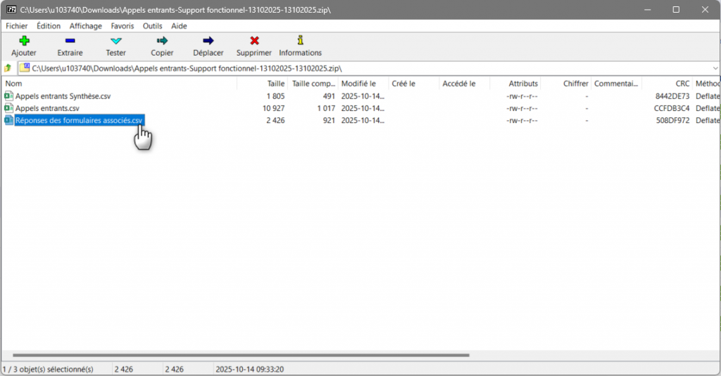 L'image montre le contenu du fichier zip Capture d'écran