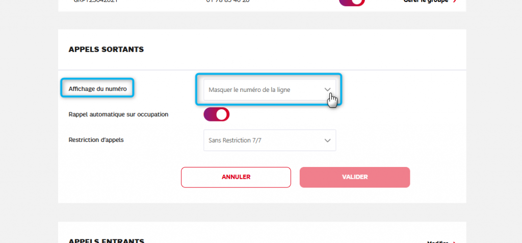 Capture d'&eacute;cran