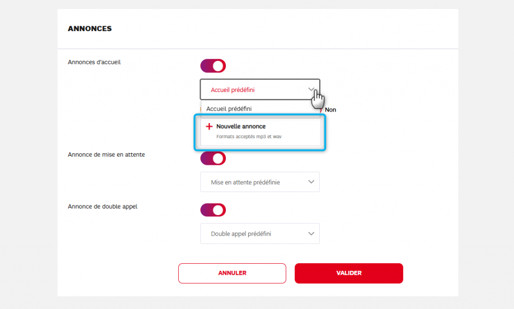 Capture d'&eacute;cran