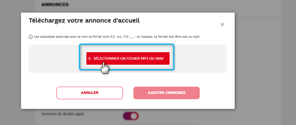 Capture d'&eacute;cran