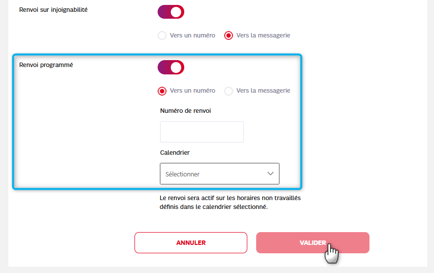 L'image montre l'activation du renvoi programm&eacute;.